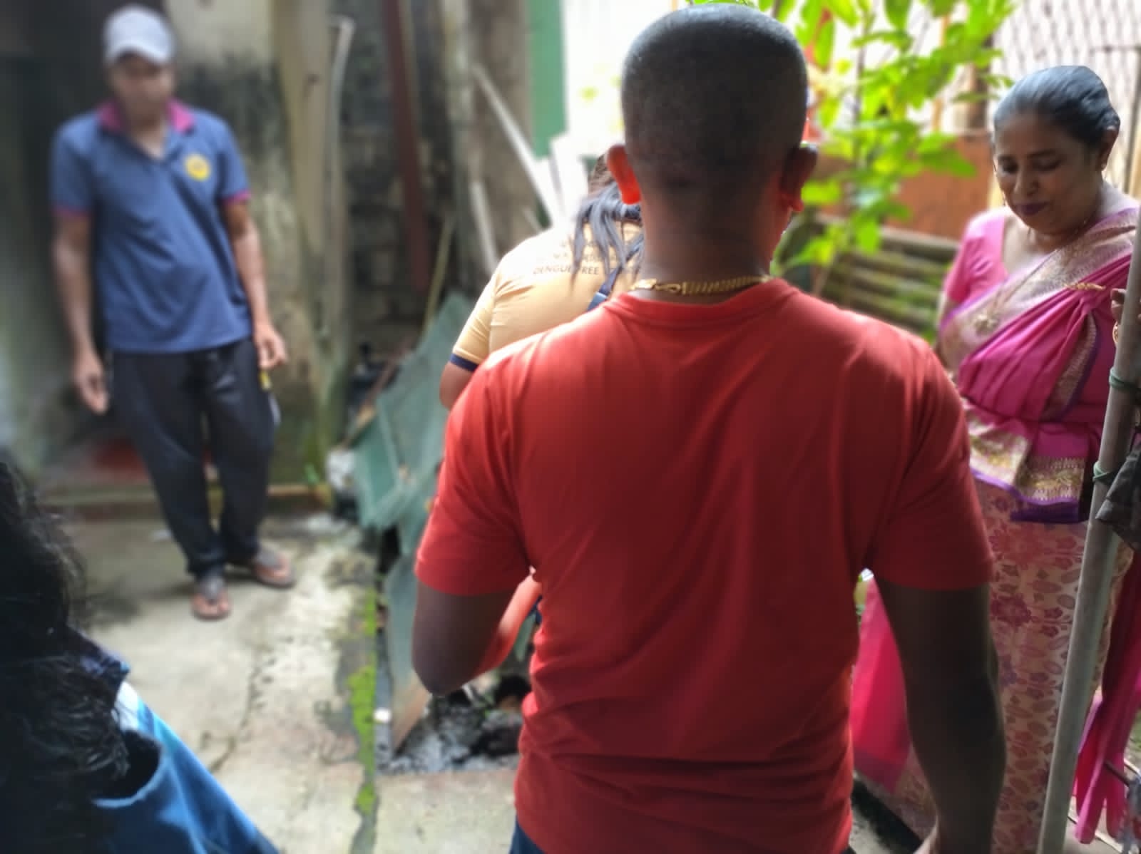 Five cats looking around a field.